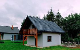 Jałowe zacisze